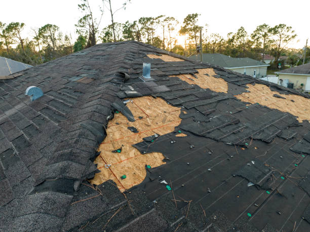 Best Storm Damage Roof Repair  in Glasgow, KY